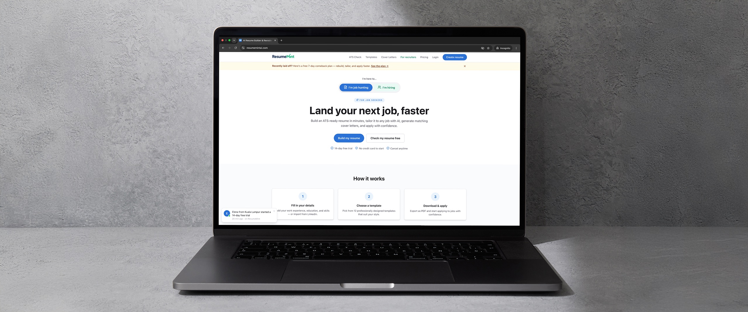 ResumeMint AI